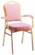 Banquet Chair (YS-607 BQ )