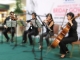 Classical String Quartet