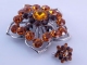 Brooches NNB0038379
