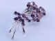 Brooches NNB0091279