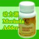 Morinda Adder