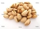 Whole Pistachio Nut Kernel