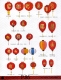 Chinese New Year Gift & Holiday Gift 86
